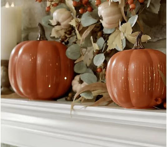 🎃Twinkle Light Pumpkins