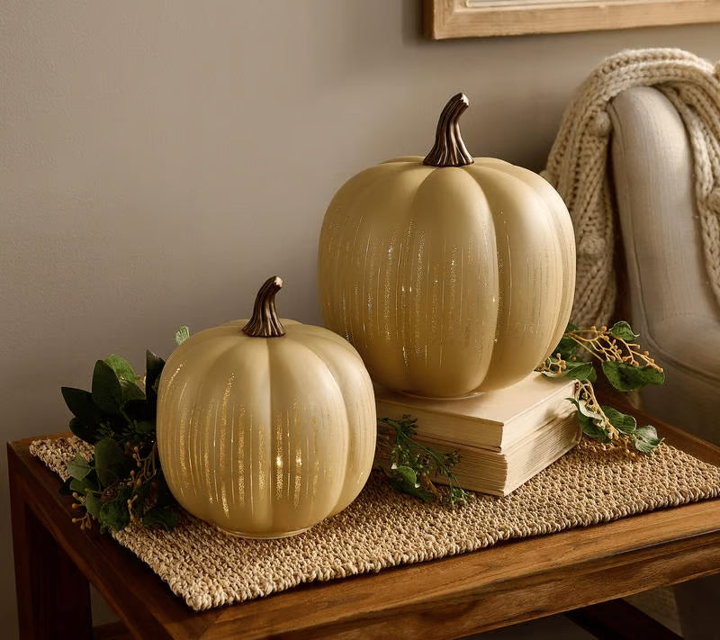 🎃Twinkle Light Pumpkins